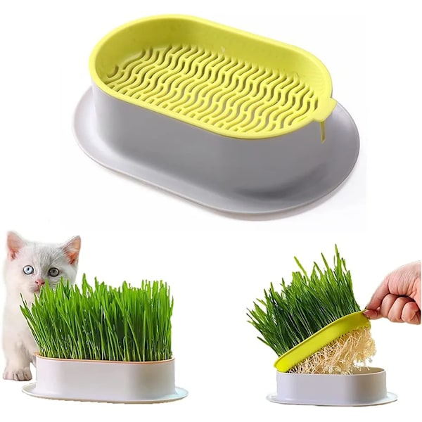 Catnip Planter, Hydroponic Catnip Planting Kit, Self Watering Pet Pot