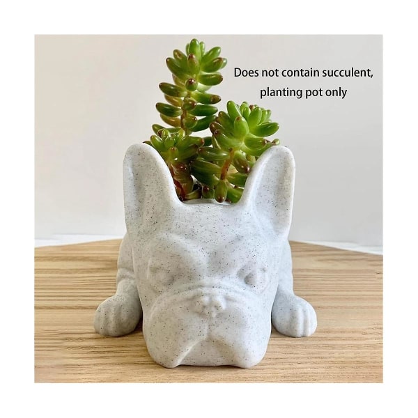 2 st fransk bulldogg form harts suckulent plantering mini valpar växter plantering, stationär växtkruka hund（Som visat）