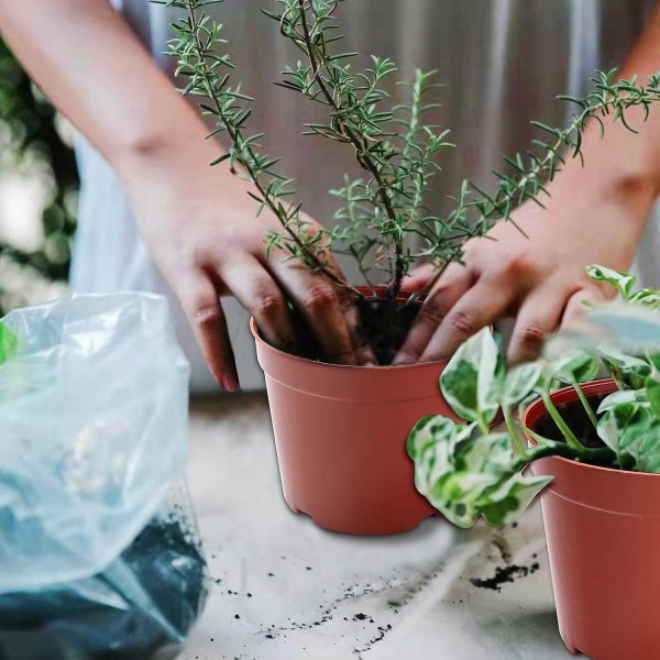 12 cm frøplantepotter, planteskolepotter, genanvendelig plastkimplantepotte/frøplantepotter/transplantationspotte/voksepotte til indendørs og udendørs plantning