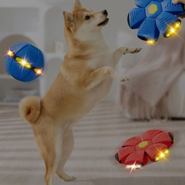 Husdjur Leksak Hund Leksak Flygande Tallrik Boll, LED Flygande Boll, Hund Leksak Boll (Rosa)