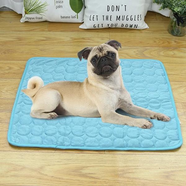 Kylmatta för hund katt, kylfilt för hundar, självkylning kylfilt, kall matta, ismatta, 70 x 55cm