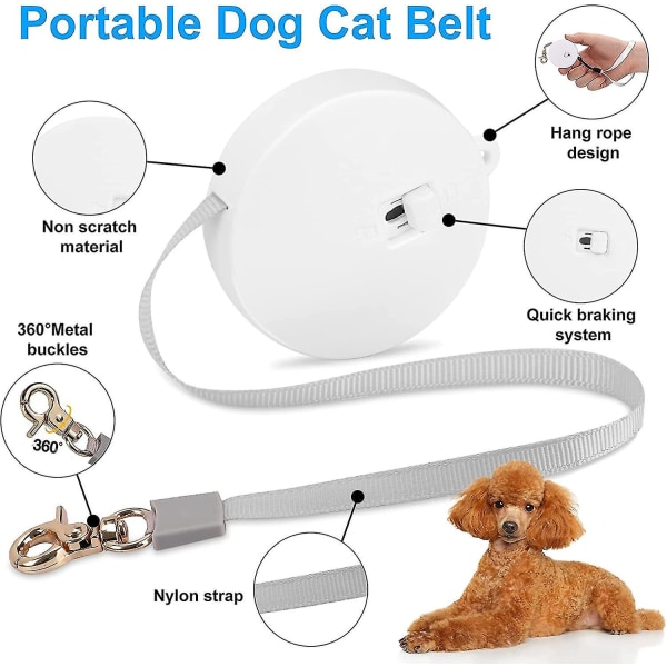 Automatisk uttrekkbart hundebånd for små hunder Katter, kjæledyr utendørs turgåing Nylon trekktau 6,5 fot (firkantet, hvitt)