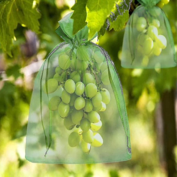 100 st Bunch Protection Bag 30x20cm/10x15cm Grape Fruit Organza Bag med Dragsko ger totalt skydd（30cm）