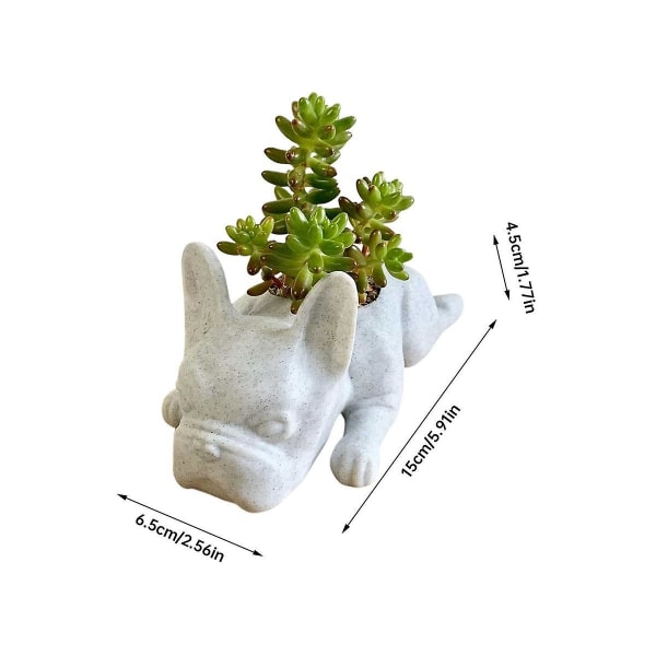 2 stk fransk bulldog form harpiks sukkulent plantekrukke Mini hvalpe planter plantekasse, desktop plantepottehund（Som vist）