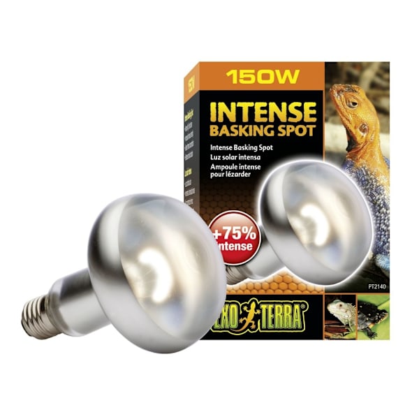 Terrariumlampe Intense Basking Spot S30 150w PT2140