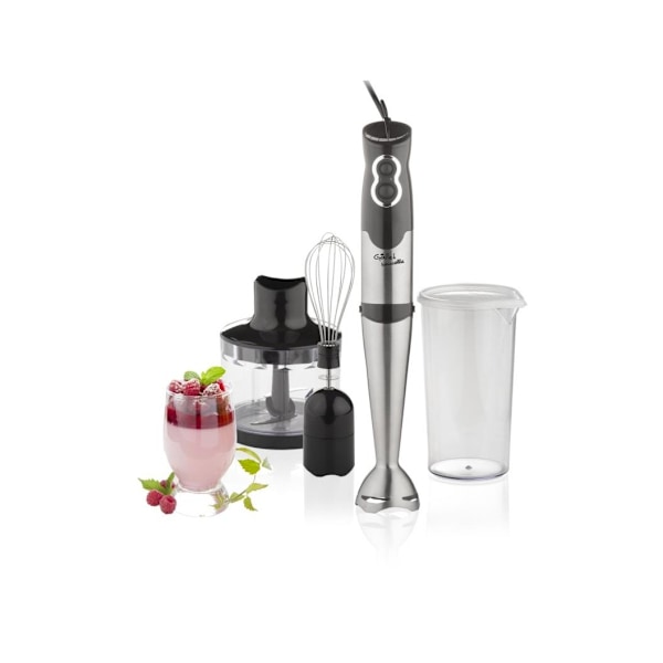 Gallet, Blender, Naucelle 3in1 GALMIX435