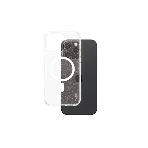 CARE, Flagship Case