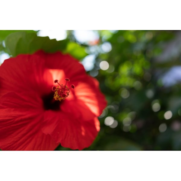 Tamron 24mm f/2.8 Di III OSD-objektiivi Sonylle