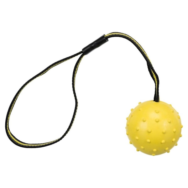 Leksak för hundar Sportboll på band, naturgummi, ø 6 × 35 cm
