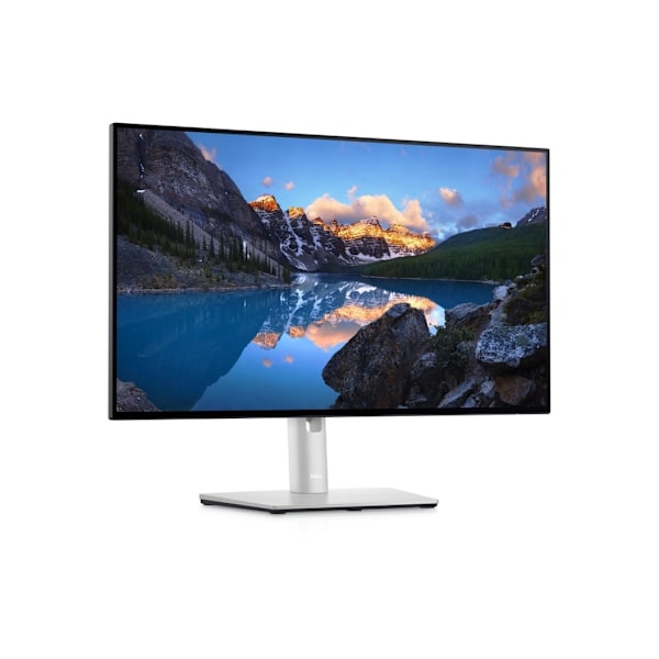Dell, näyttö ilman jalustaa, U2424H
