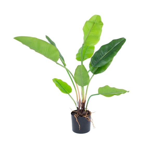 Kunstig plante GREENLAND H78cm, Strelitzia