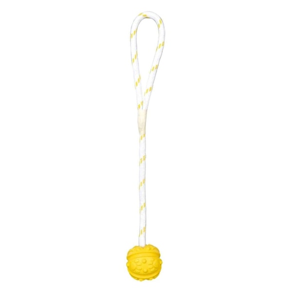 Leksak för hundar Bolla på rep, naturgummi, flytbar, ø 4,5 × 35 cm