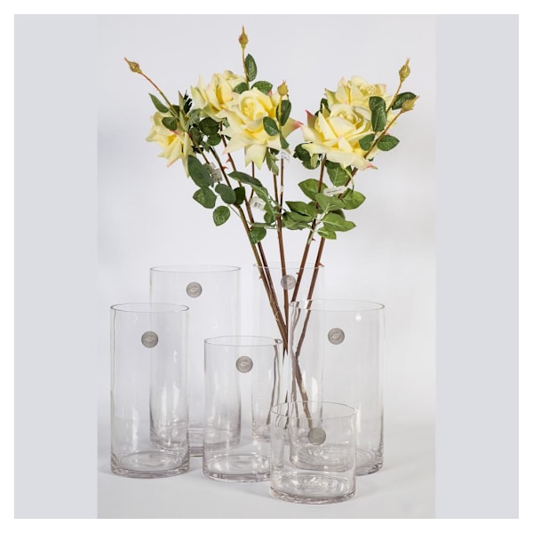 Vas IN HOME D12xH30cm, klart glas