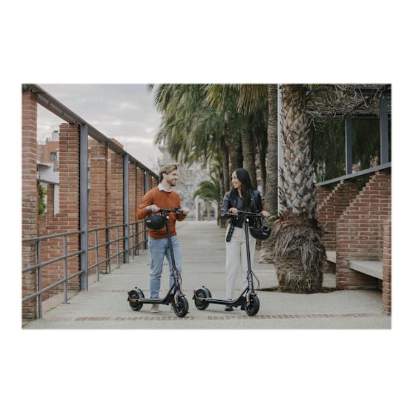 Segway, Kickscooter F2 E