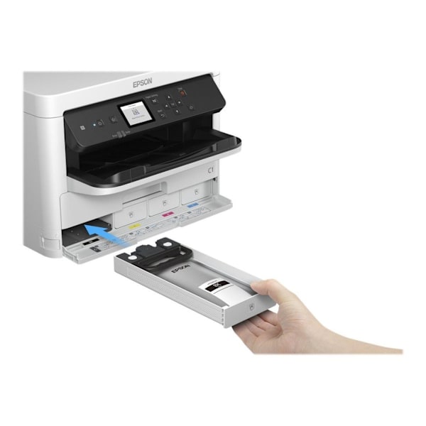 Epson, C13T01C100