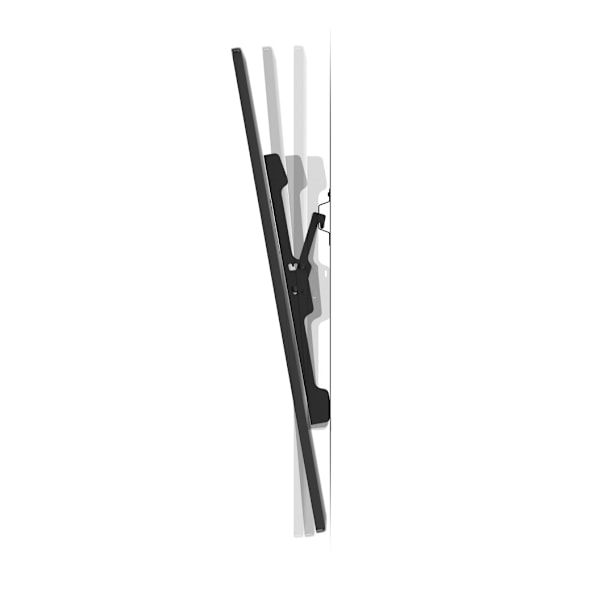 Vogels, MA4010-A1