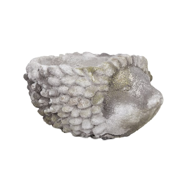 Blomkruka STEN 20x15xH11cm, igelkott