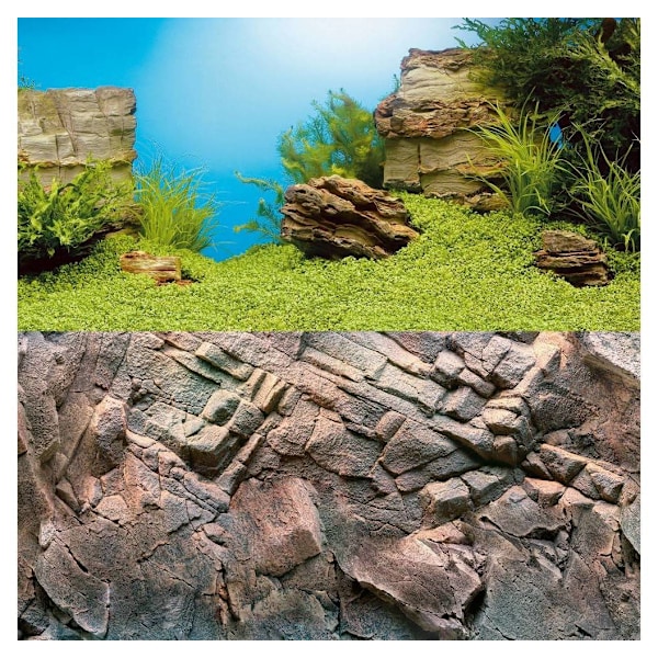 Akvariebaggrund Plakat 1 S 60x30cm