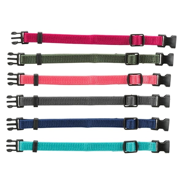 Junioruppsättning valphalsband, M–L: 22–35 cm/10 mm, fuchsia, grafit, indigo, skog, korall, hav