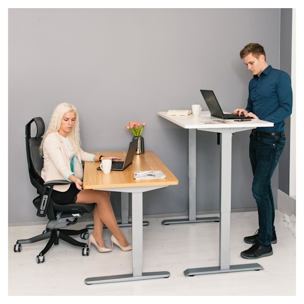 Pöydänjalka ERGO 1 sähkösäädettävä, hopeanharmaa