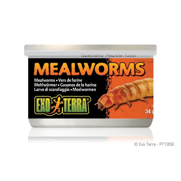 Melorme EXO TERRA 34g