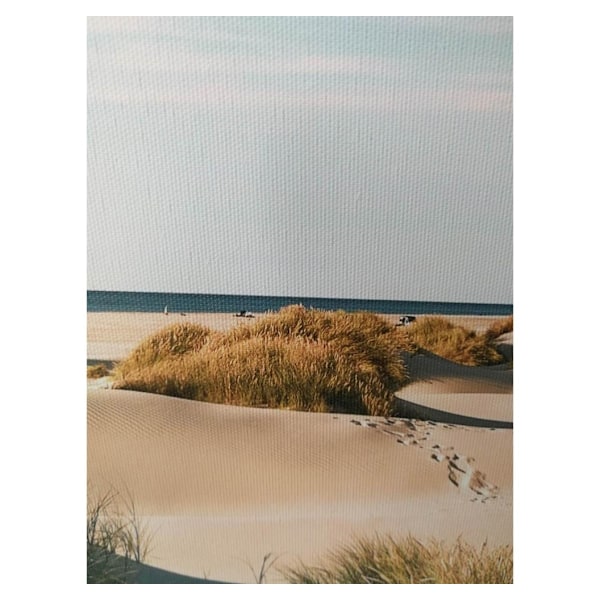 Väggkonst WALLY 30x90cm, sanddyner