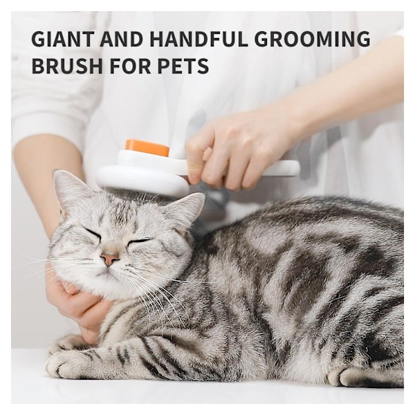 PETKIT, iso hoitoharja