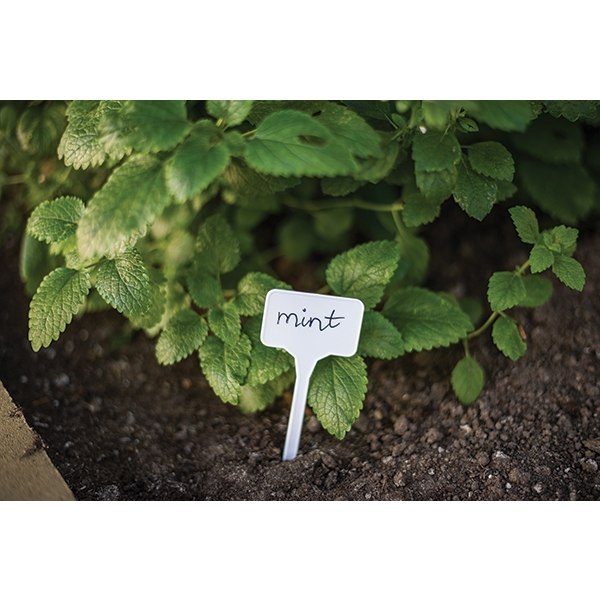 Set med 20 produkter. Planteetikett 15x5,5cm