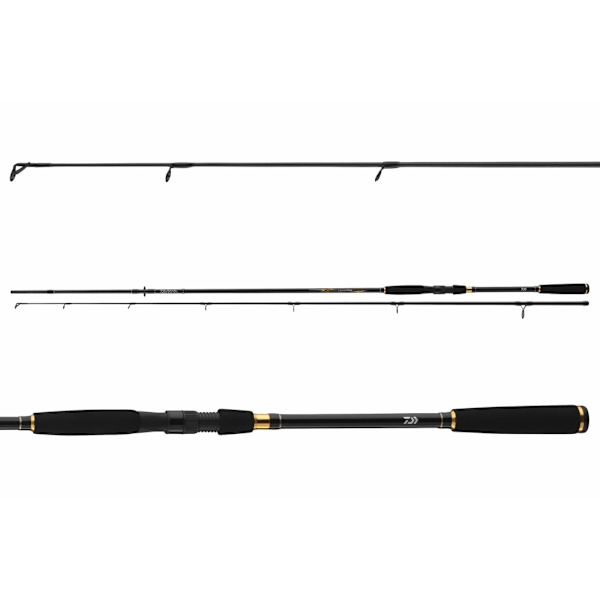 Spinning Daiwa Legalis Legalis Spin 3,05m 10-40g