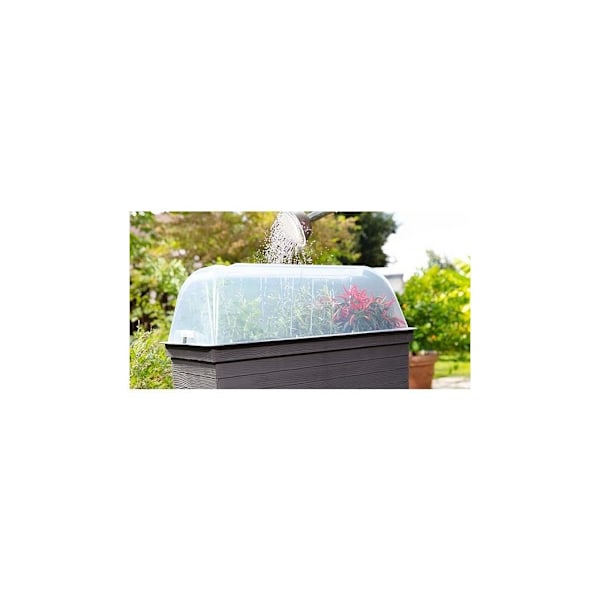 Urban cloche betræk