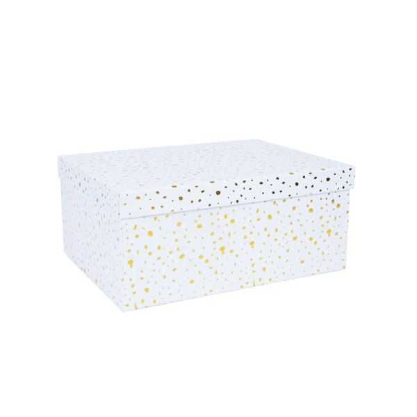 Laatikko DIANA-7, kannellinen 25x18xH10,5cm, valkoinen/kulta