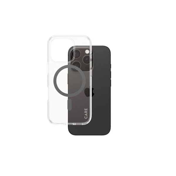 CARE, Flagship Case