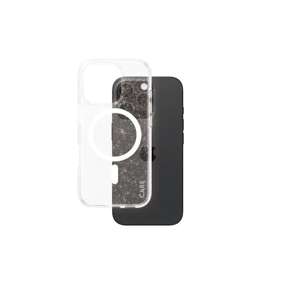 CARE, Flagship Case