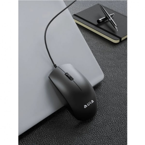 PC Mouse AM100, Aula