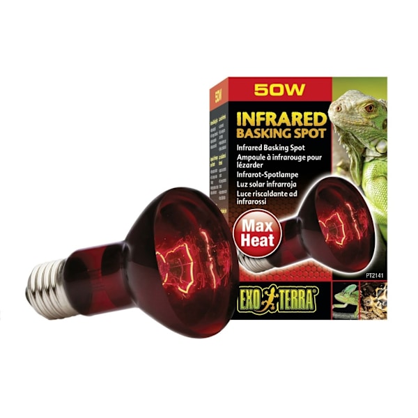 Terraariolamppu Infrapuna Basking Spot R20 50w PT2141