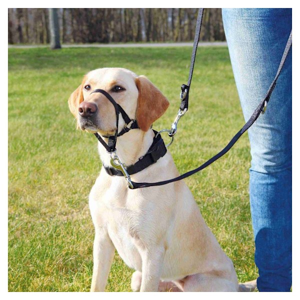 Top Trainer træningssele, M: 27 cm, sort