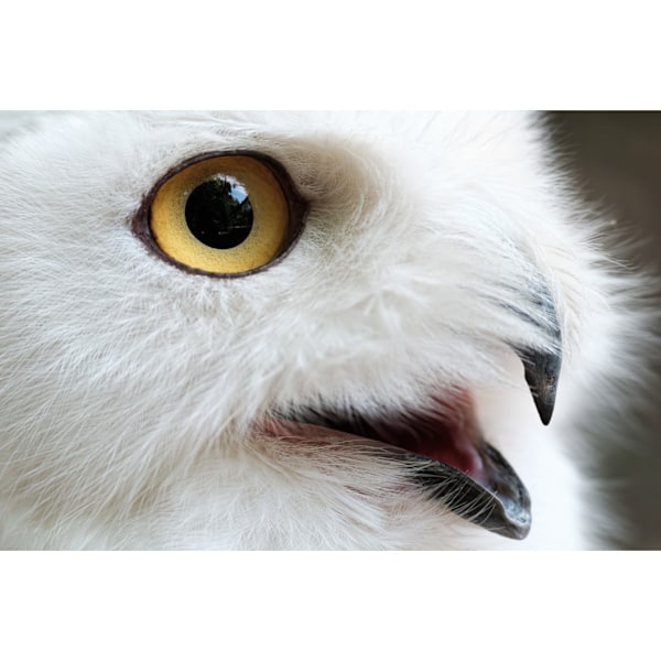 Tamron 150-500 mm f/5-6.7 Di III VC VXD-objektiv til Fujifilm