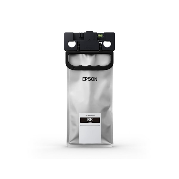 Epson, C13T01C100