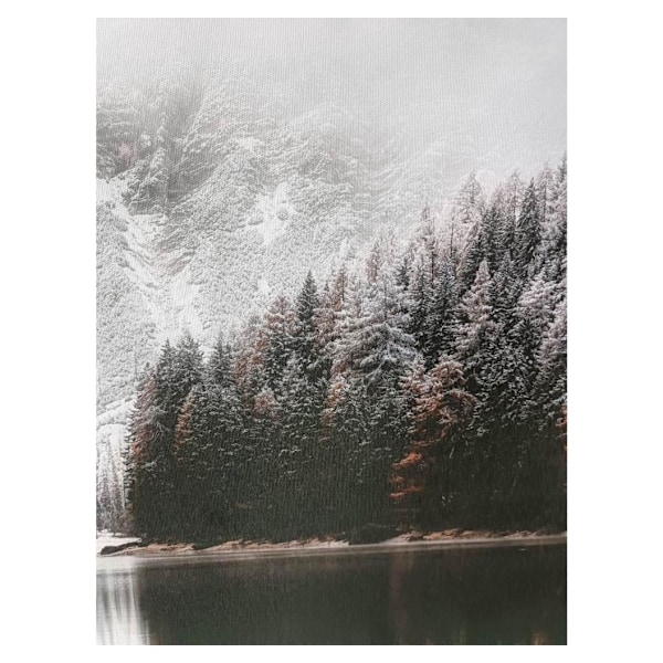 Wall art WALLY 60x80cm, snowy landscape