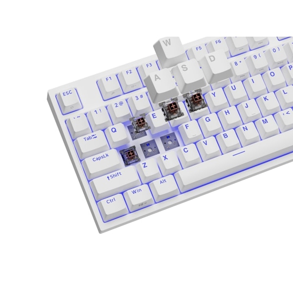 Genesis, Mekaniskt speltangentbord, Mekaniskt speltangentbord, THOR 404 TKL RGB