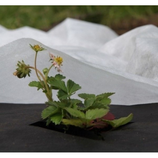 Set of 10 products. Non-woven 17g/m² spring, white, 3,2 x 5m