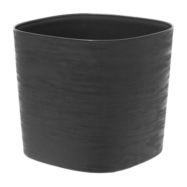 CAPRI 19 BLACK