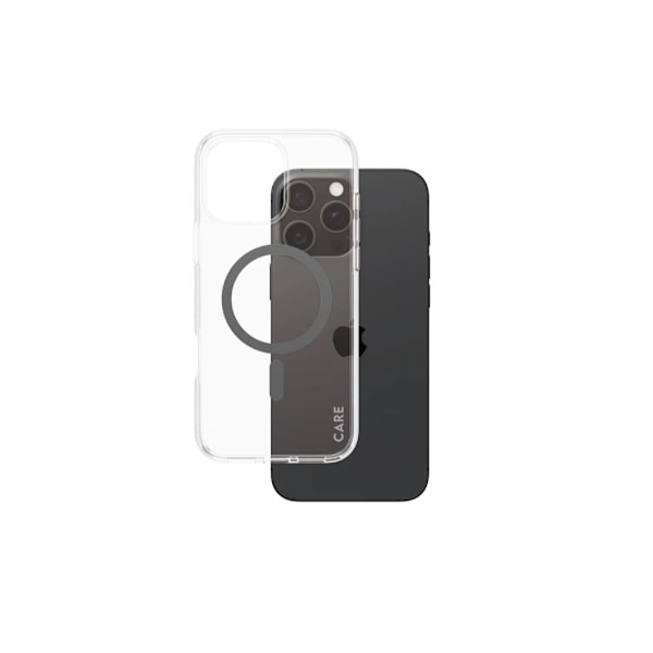 CARE, Flagship Case