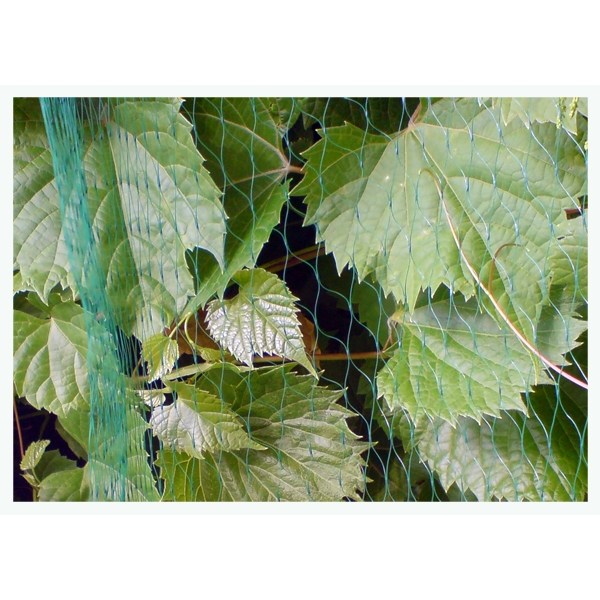 Set of 4 products. BIRD NET7g/m2   19x19mm 5x10m