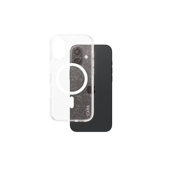 CARE, Flagship Case