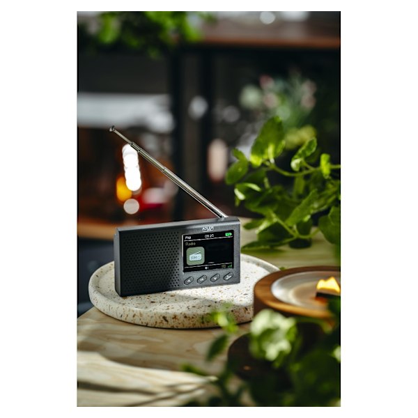 Adler, FM-matkaradio, AD 1198
