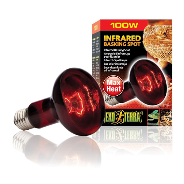Terrarium lampe Infrarød Basking Spot R25 100w PT2144