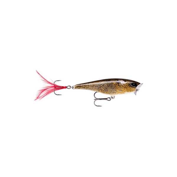 Lure Skitter Pop 9cm/14g FML