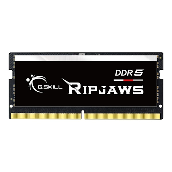 G. Skill, Ripjaws