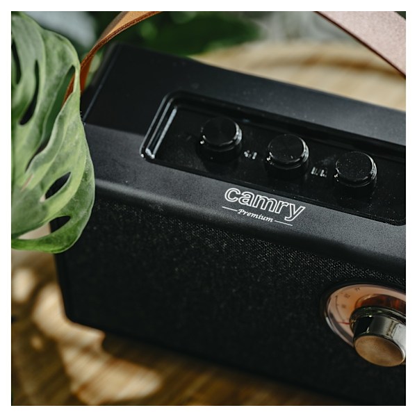 Camry, Højttaler med radio, CR 1902 B